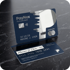 Paynex digital branding elements by Mohammed Sufiyan